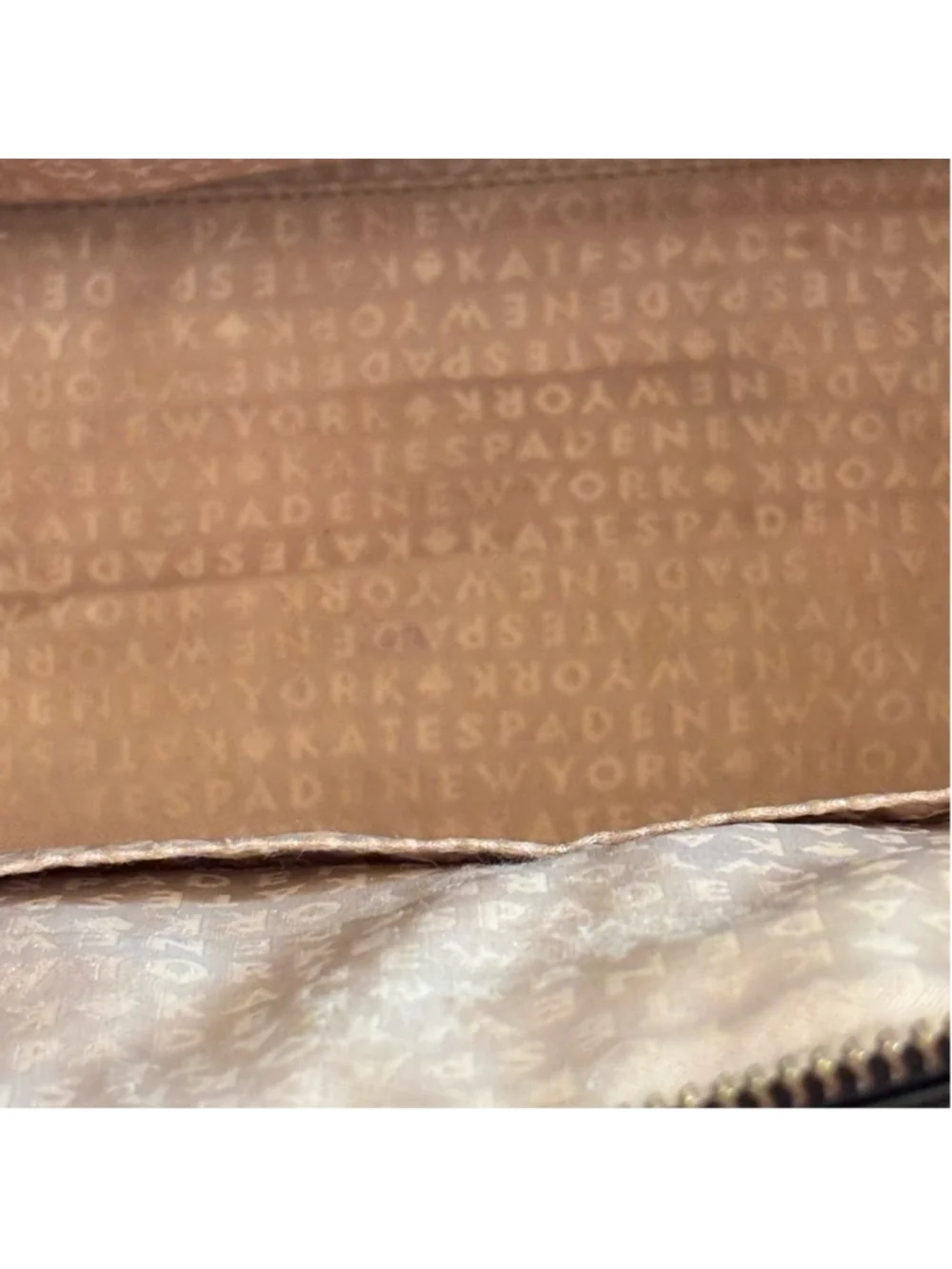 KATE SPADE NY PARLIAMENT SQUARE SAVANNAH CROSSBODY FEATURING SNAKE PRINT DESIGN